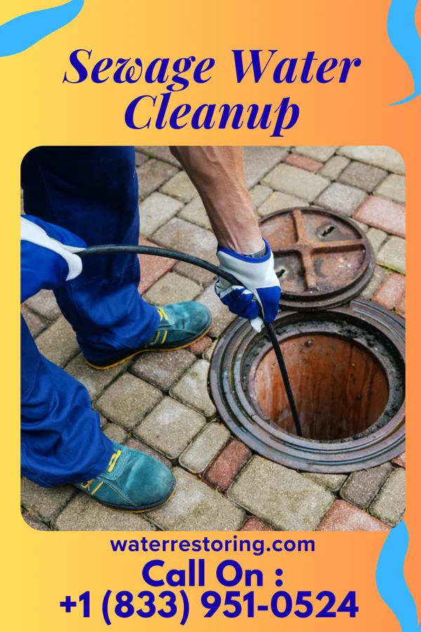 Sewage Water Cleanup in Ferguson, IA